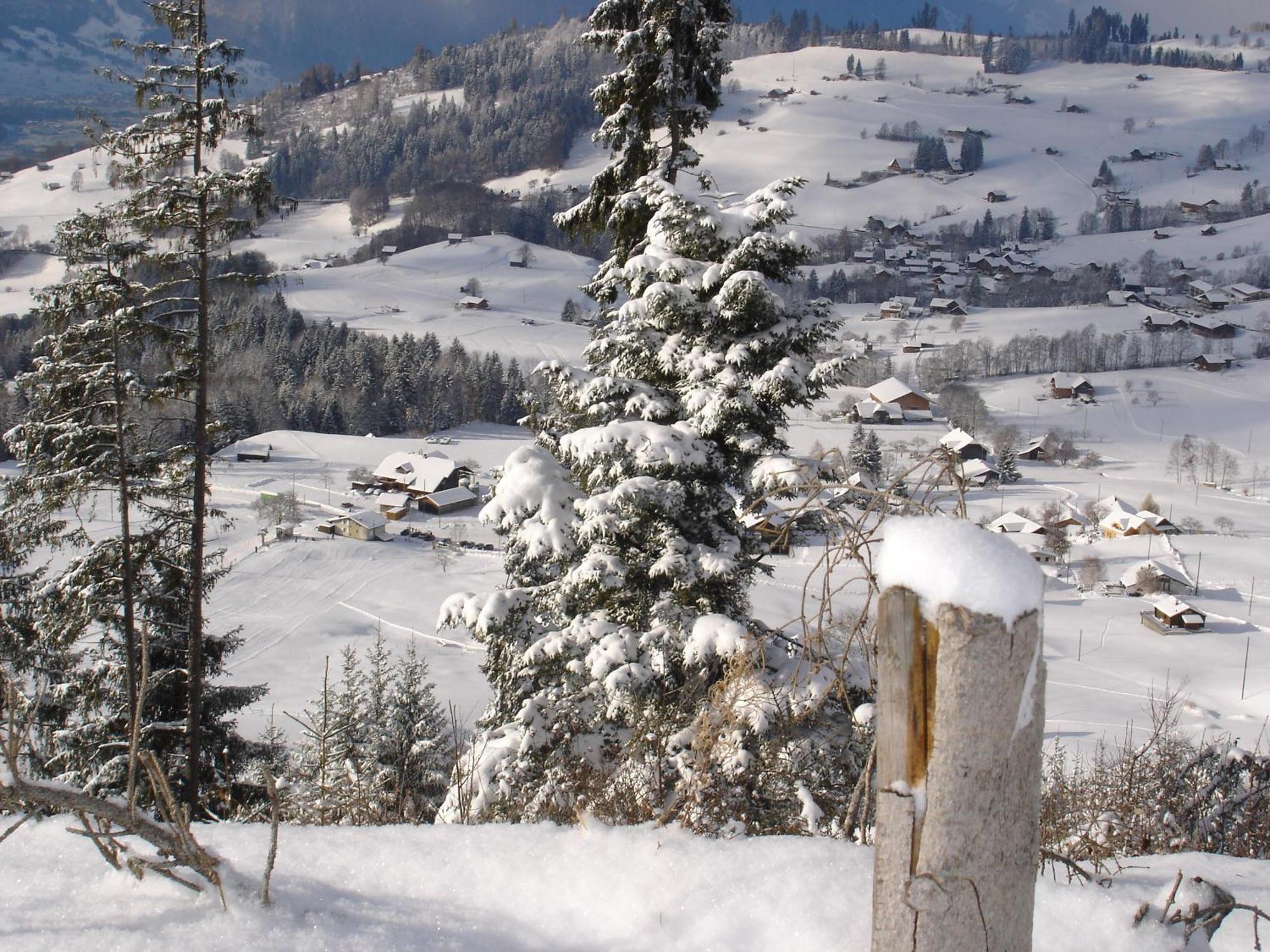 Chalet Sunneschyn Schwanden (Berne) Exterior foto